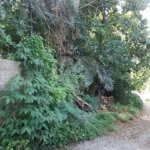 Terreno à venda em Tremembé, São Paulo, SP