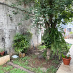 Casa à venda no Jaçanã 400m² – Amplo espaço e excelente localização!