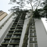 Apartamento à venda com 2 quartos, sendo 1 suíte, em Vila Suzana, São Paulo, SP