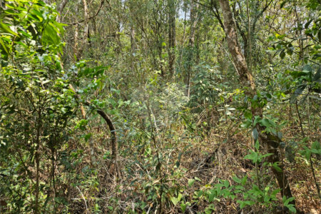 Terreno à venda em Curral, Ibiúna, SP
