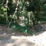 Terreno à venda em Tremembé, São Paulo, SP