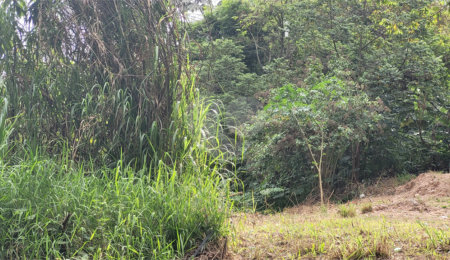Terreno à venda em Barreiro, Mairiporã, SP