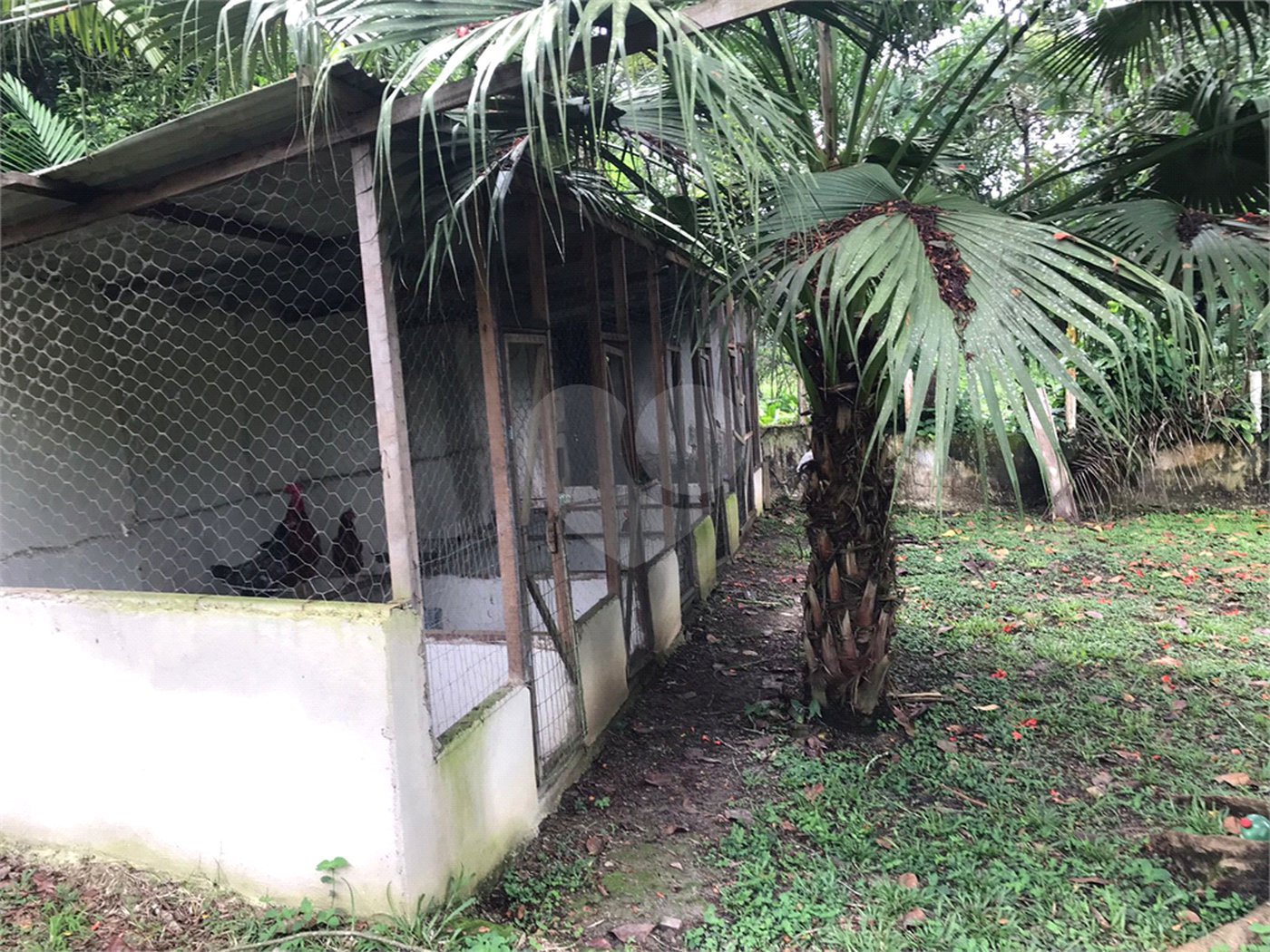 Sítio à venda com 5 quartos, sendo 2 suítes,  em Parque Recreio Dom Pedro Ii (guia de Pacobaíba), Magé, RJ