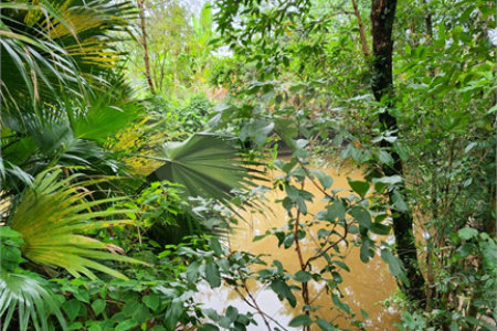 Chácara à venda com 3 quartos, sendo 1 suíte, em Jardim Buru, Salto, SP