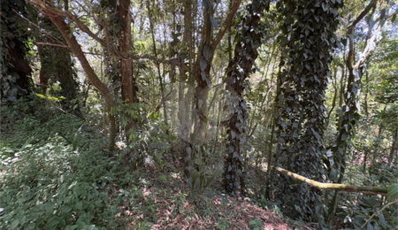 Terreno à venda em Serra da Cantareira, Mairiporã, SP