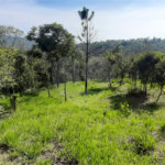 Terreno à venda em São Vicente, Mairiporã, SP