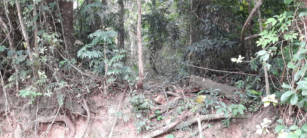 Terreno à venda em Roseira, Mairiporã, SP