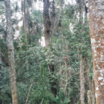 Condomínio à venda em Serra da Cantareira, Mairiporã, SP