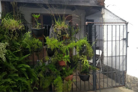 Casa Térrea à venda com 4 quartos, sendo 1 suíte, em Instituto de Previdência, São Paulo, SP