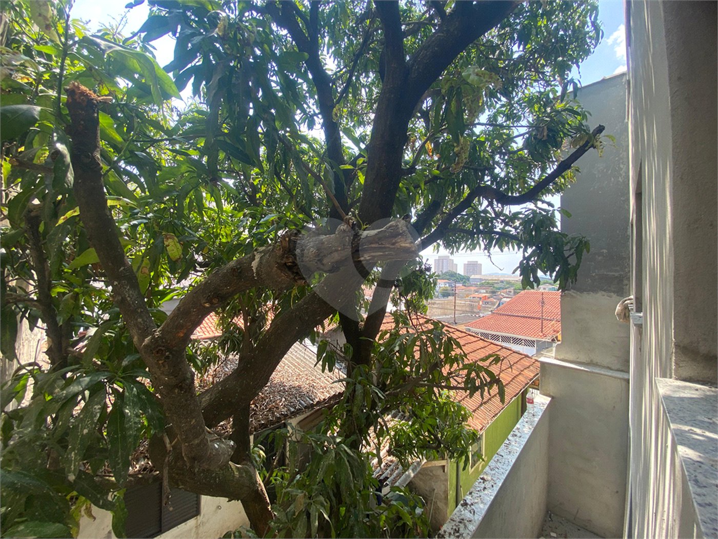 Apartamento à venda com 2 quartos em Vila Gustavo, São Paulo, SP