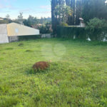 Terreno à venda no condomínio São Joaquim, Vinhedo - SP
