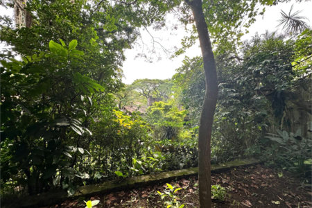 Casa à venda com 3 quartos, sendo 1 suíte, em Jardim Marajoara, São Paulo, SP