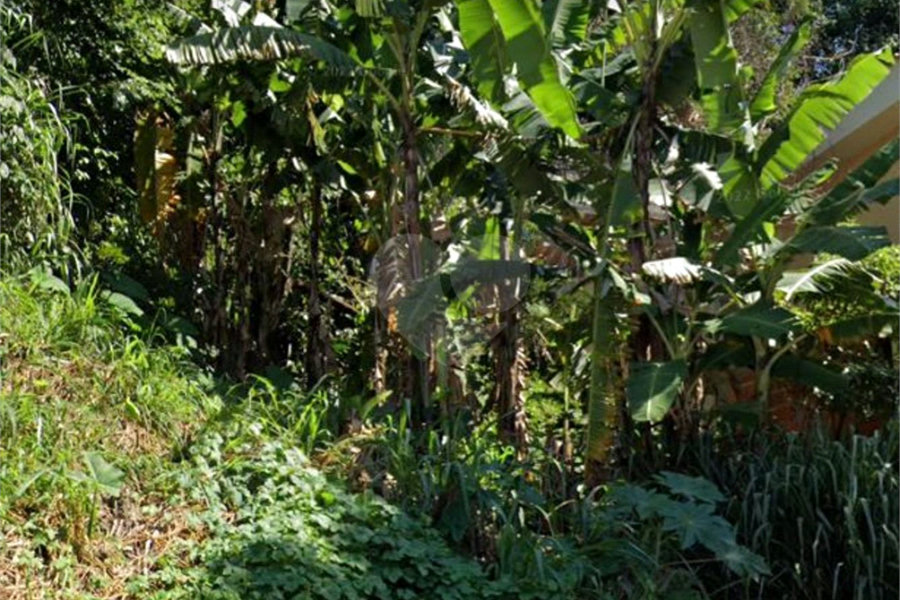 Terreno à venda em Tremembé, São Paulo, SP