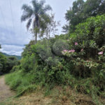 Terreno à venda em Serra da Cantareira, Mairiporã, SP