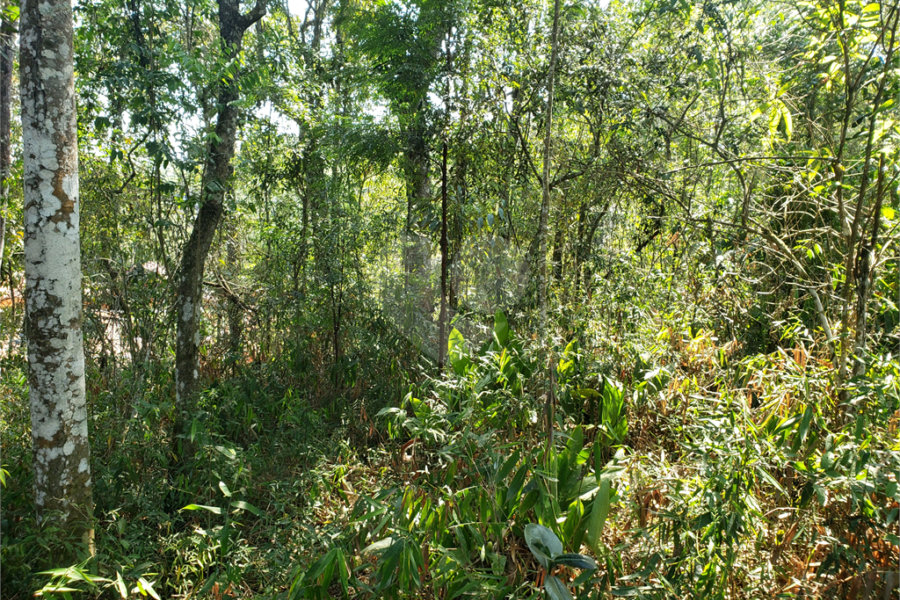 Terreno à venda no condomínio Residencial Cerros Verdes, Mairiporã - SP
