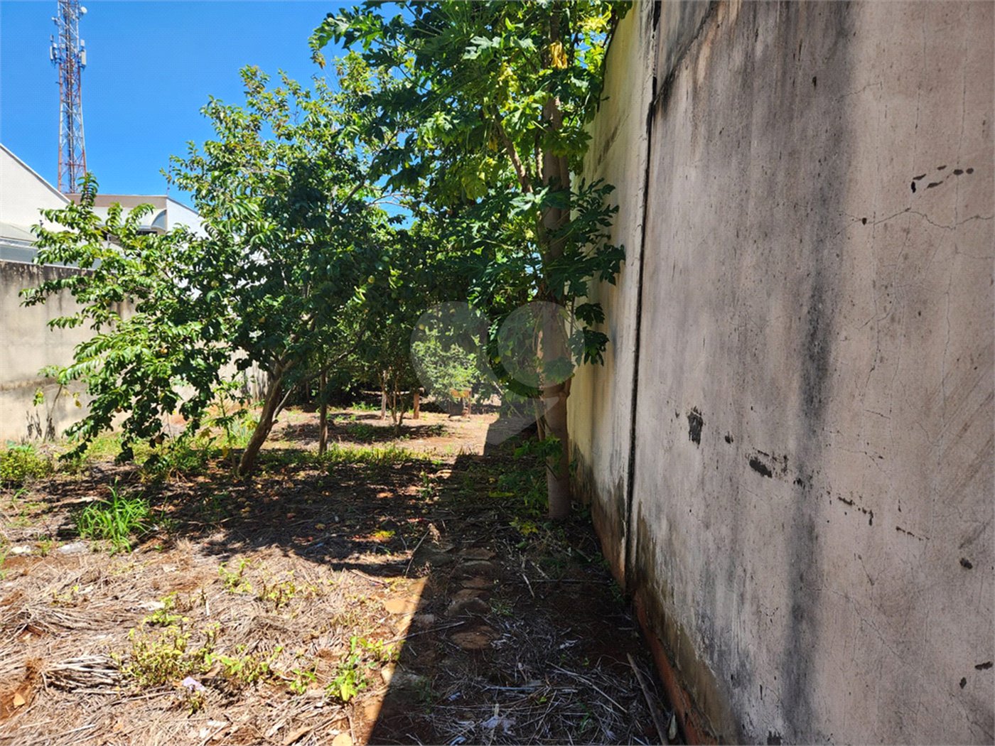 Terreno à venda em Vila Harmonia, Araraquara, SP