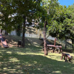 Sobrado à venda com 3 quartos, sendo 1 suíte, no condomínio Villagio da Granja, Cotia - SP