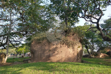 Sítio à venda com 4 quartos, sendo 2 suítes,  em Pimenta, Indaiatuba, SP