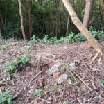 Terreno à venda no condomínio Alpes da Cantareira, Mairiporã - SP