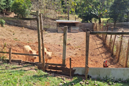 Chácara à venda ou para alugar com 3 quartos, sendo 1 suíte,  em Parque Residencial Itapeti, Mogi das Cruzes, SP
