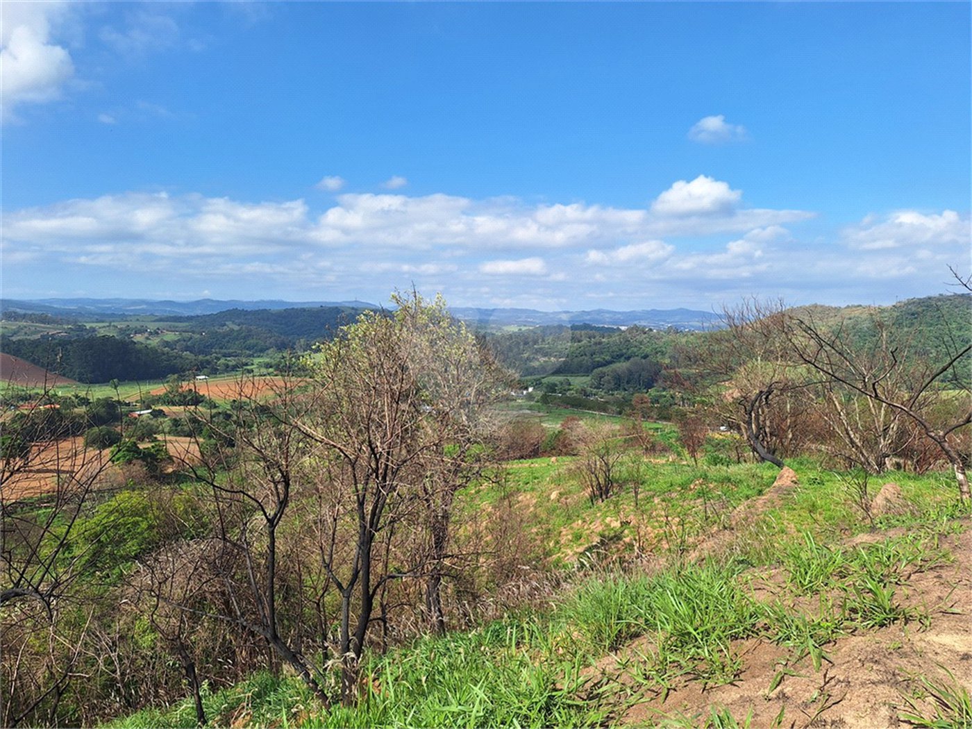 Área de Terra à venda com 1 suíte em Cocais, Itatiba, SP