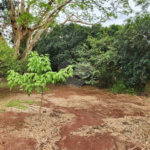 Chácara à venda com 2 quartos em Jardim Califórnia, Araraquara, SP