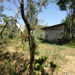 Chácara à venda com 4 quartos em Vista Alegre, Vinhedo, SP