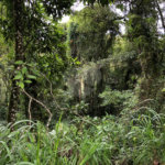 Terreno à venda no condomínio Gleba E1 E2, Mairiporã - SP