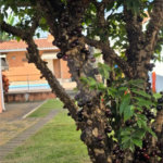 Casa à venda com 3 quartos, sendo 1 suíte, no condomínio Estância Marambaia, Vinhedo - SP