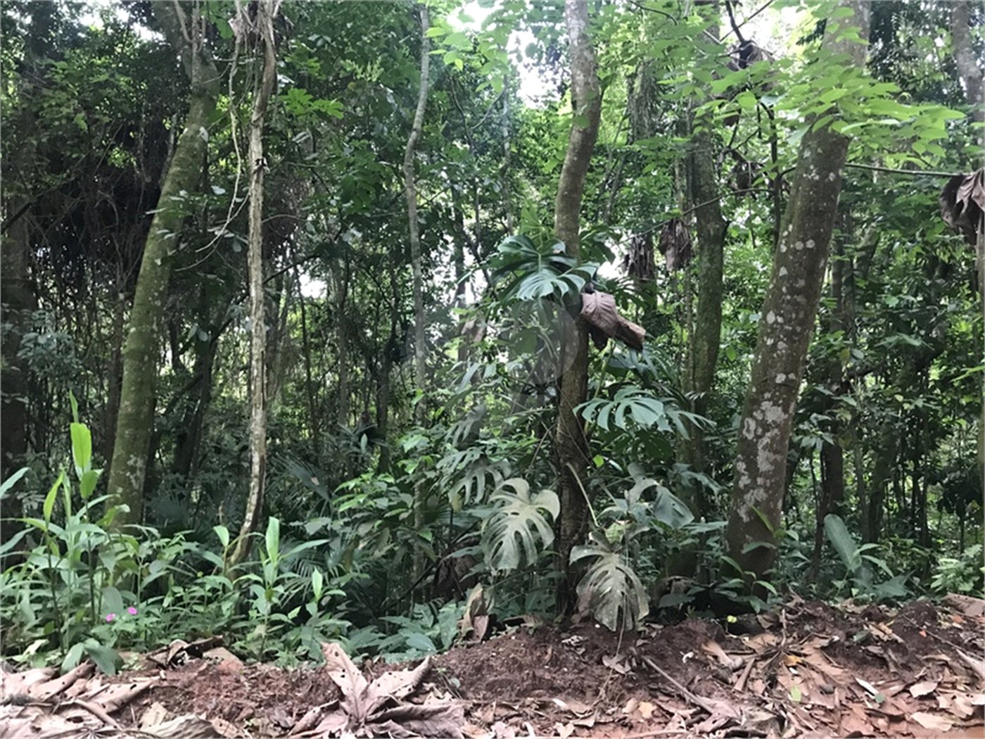 Terreno à venda em Serra da Cantareira, Mairiporã, SP