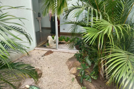 Sobrado à venda com 4 quartos, sendo 1 suíte,  em Parque dos Príncipes, São Paulo, SP