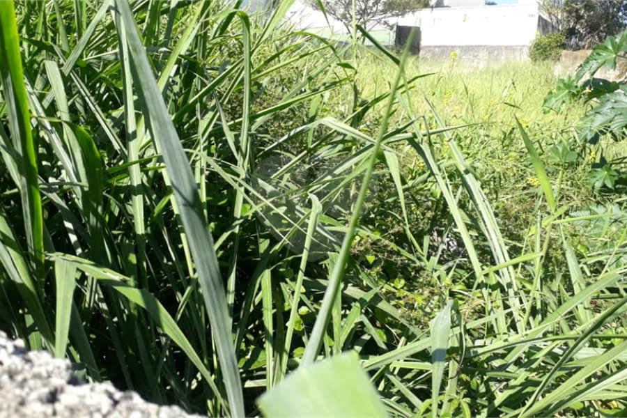 Terreno à venda em Santana, São Paulo, SP