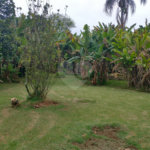 Terreno à venda em Jardim Bela Vista, Guarulhos, SP