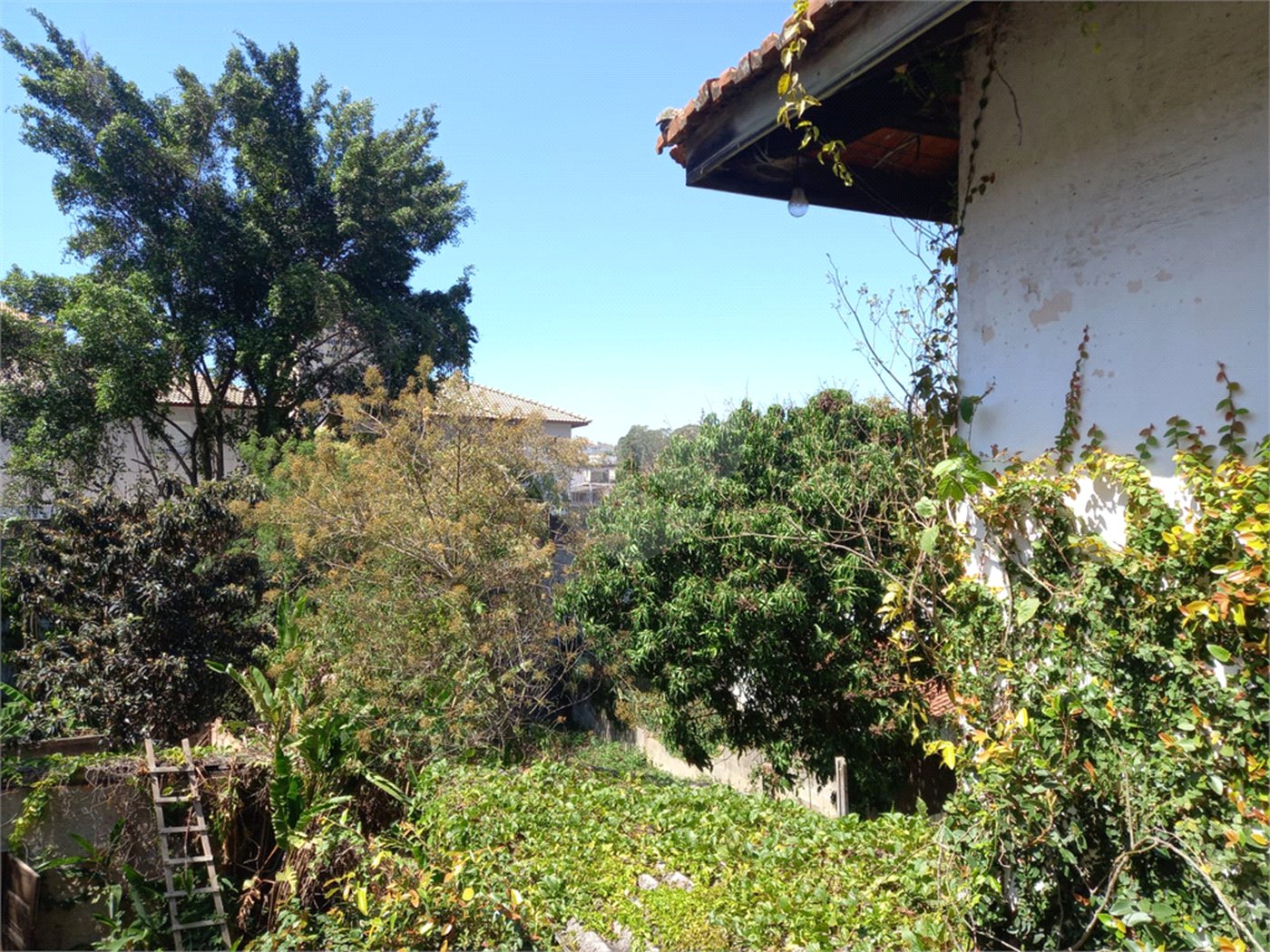 Terreno à venda em Vila Albertina, São Paulo, SP