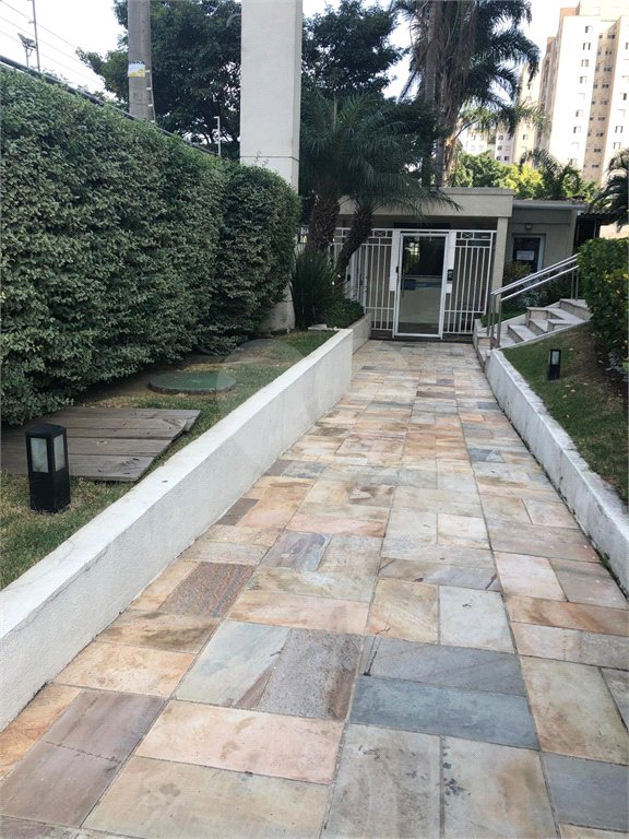 Apartamento à venda com 3 quartos, sendo 1 suíte, em Vila Guilherme, São Paulo, SP