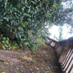 Terreno à venda com 3 quartos em Vila Guilherme, São Paulo, SP