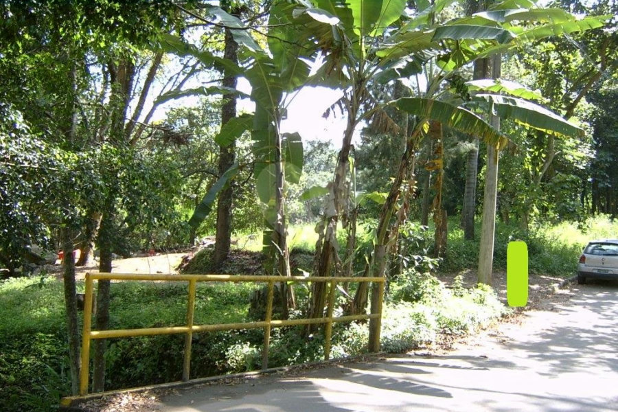 Casa Térrea à venda com 3 quartos em Vila Maria Alta, São Paulo, SP