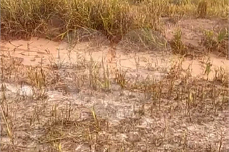 Terreno à venda no condomínio Mosaico Horizontes, Mogi das Cruzes - SP