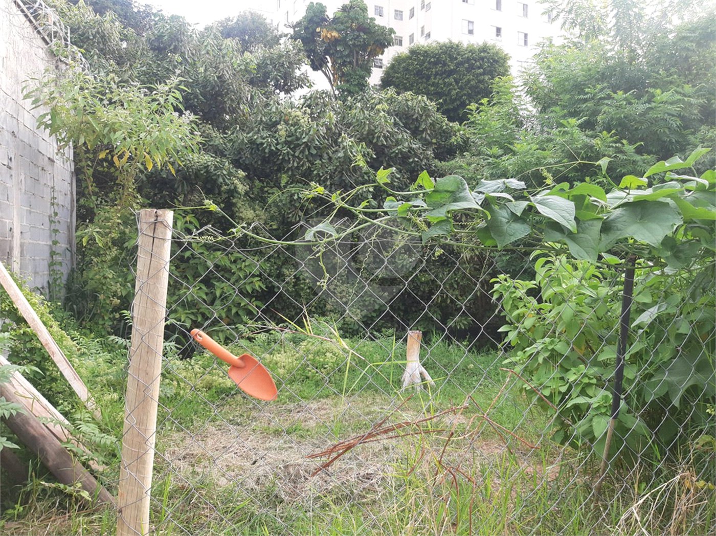 Terreno à venda em Tucuruvi, São Paulo, SP