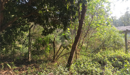 Terreno à venda em Bosque dos Eucalíptos, Atibaia, SP
