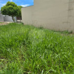 Terreno à venda em Vila Piedade, Itapetininga, SP