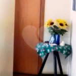 Sobrado à venda com 3 quartos, sendo 1 suíte,  em Tucuruvi, São Paulo, SP