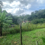 Chácara à venda em Sorocamirim (canguera), São Roque, SP