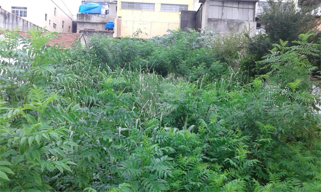 Terreno à venda em Imirim, São Paulo, SP