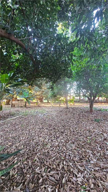 Terreno à venda em Jardim dos Estados, Ponta Porã, MS