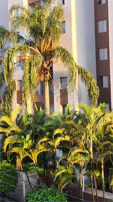 Apartamento à venda com 2 quartos em Mandaqui, São Paulo, SP