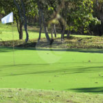 Terreno à venda no condomínio Terra Selvagem & Golf Club, Cuiabá - MT