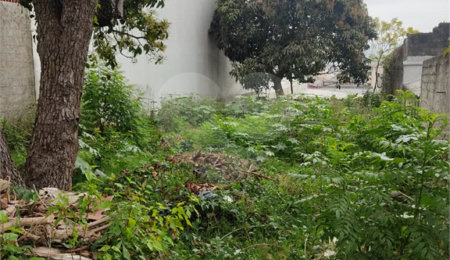 Terreno à venda em Vila Constança, São Paulo, SP
