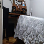 Apartamento à venda com 3 quartos, sendo 1 suíte, em Mandaqui, São Paulo, SP