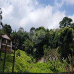 Terreno à venda em Tremembé, São Paulo, SP